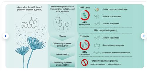 提升学术影响力 专业论文润色、图文摘要与期刊合规图表设计服务推荐